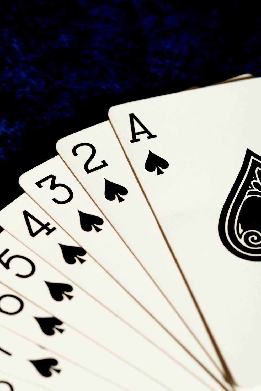 winnerz casino 2026